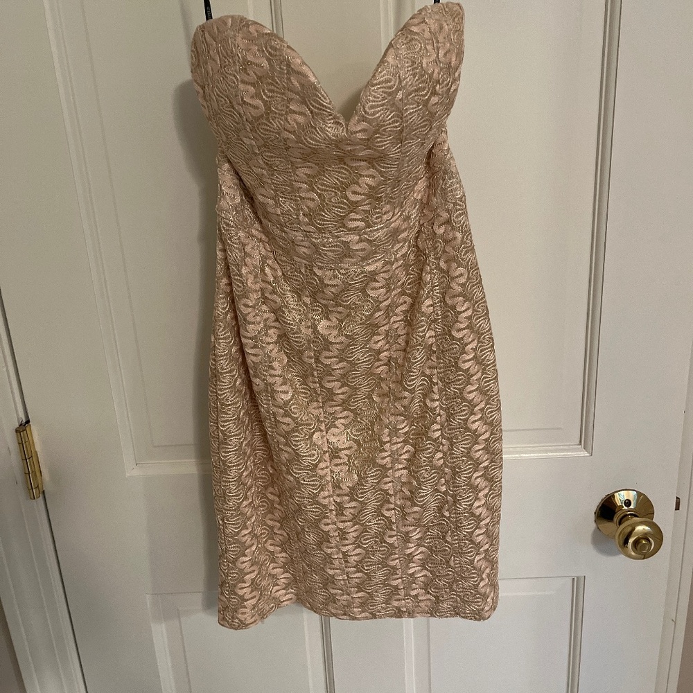 Pink/gold lace sparkly mini dress
